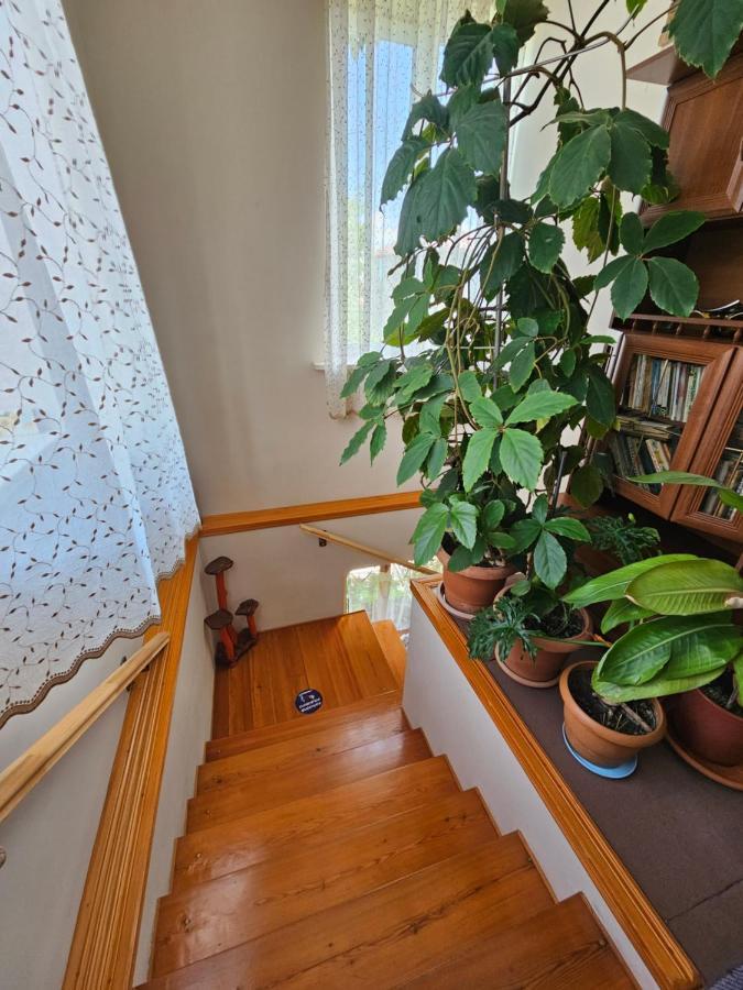 Tamari Guest House Telavi Eksteriør bilde