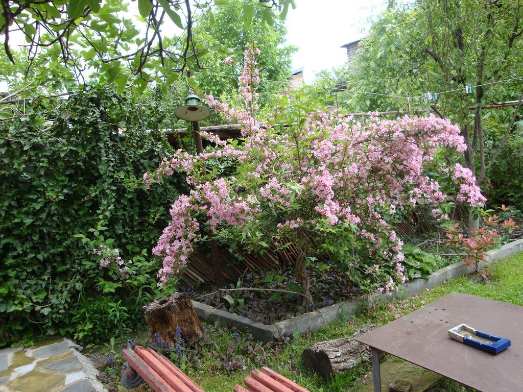 Tamari Guest House Telavi Eksteriør bilde